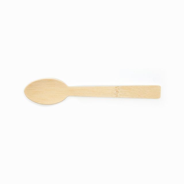 Disposable Bamboo Spoon 6.7''