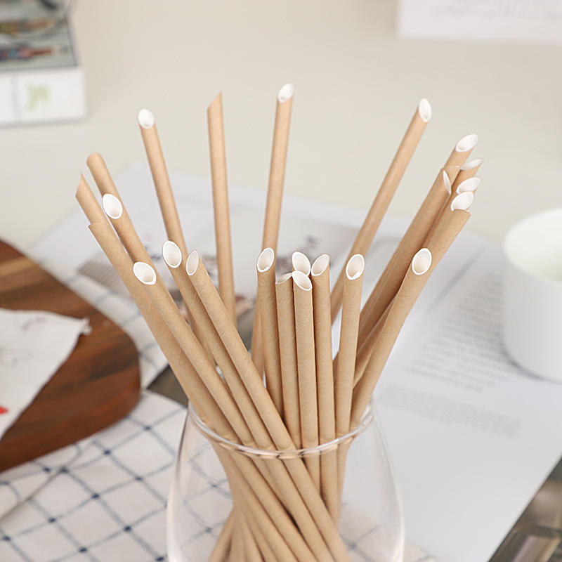 Bubble Tea Straw