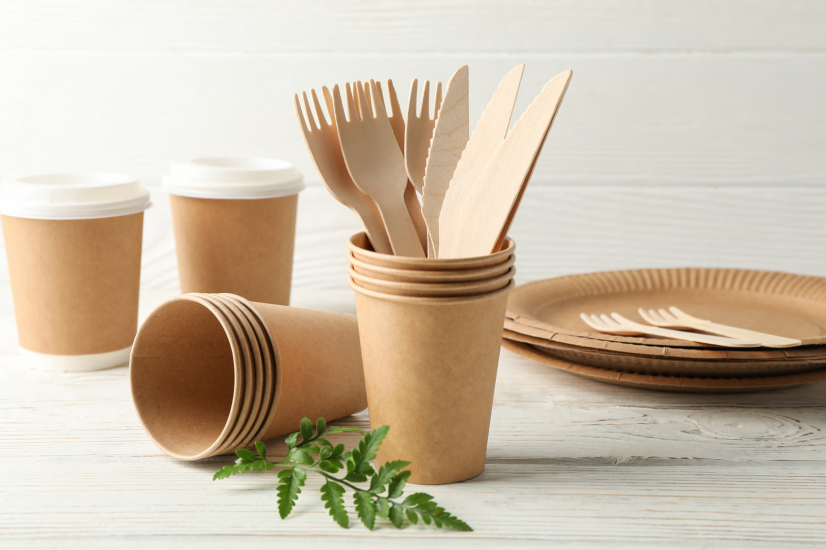 Eco-Friendly Wooden Knife, Fork & Spoon Set