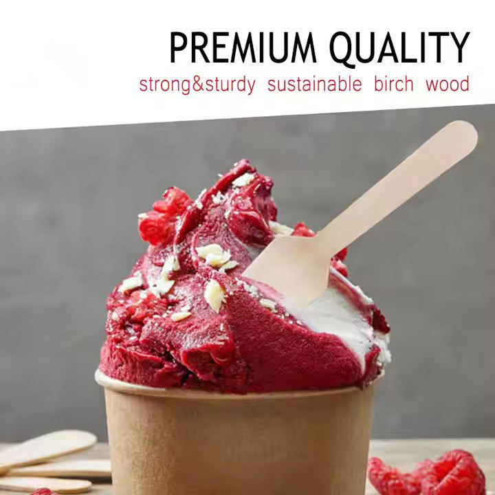 Eco-Friendly Wooden Ice Cream Spoon