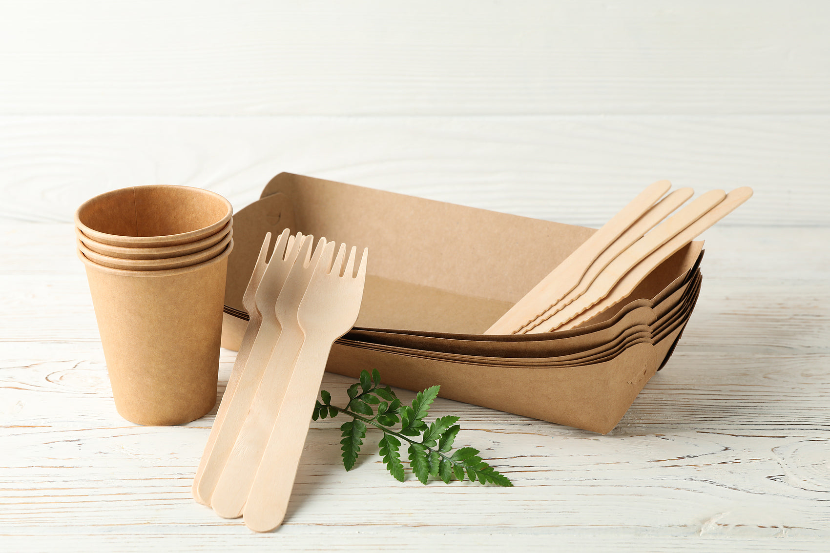 Eco-Friendly Wooden Knife, Fork & Spoon Set