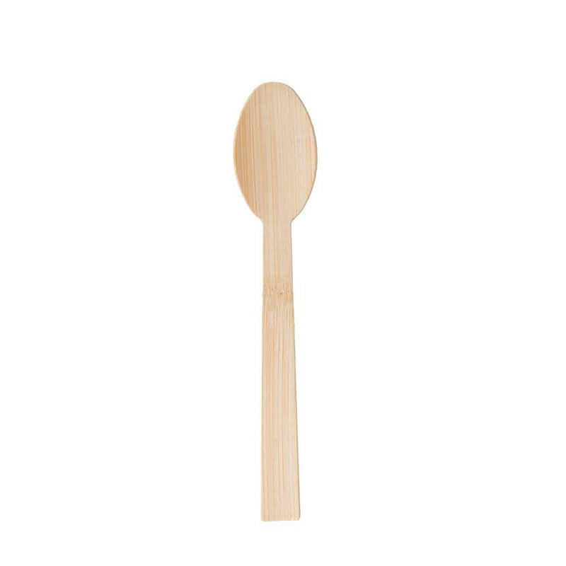 Disposable Bamboo Spoon 6.7''