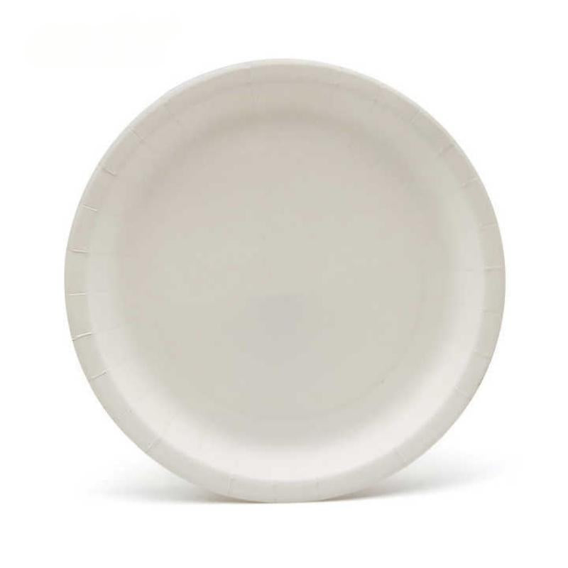 Bagasse Plate