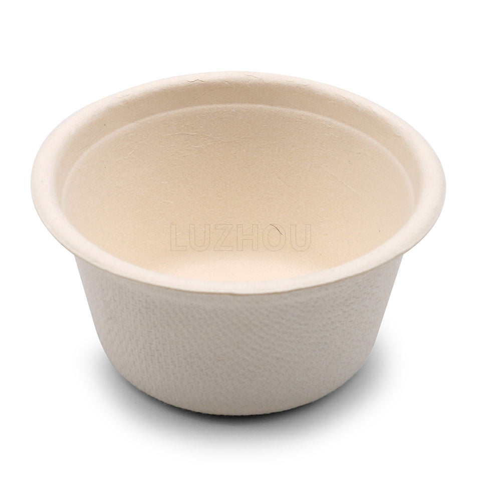 BAGASSE BOWL