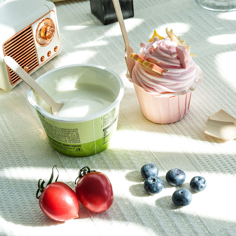 Eco-Friendly Wooden Ice Cream Paddle Spoon