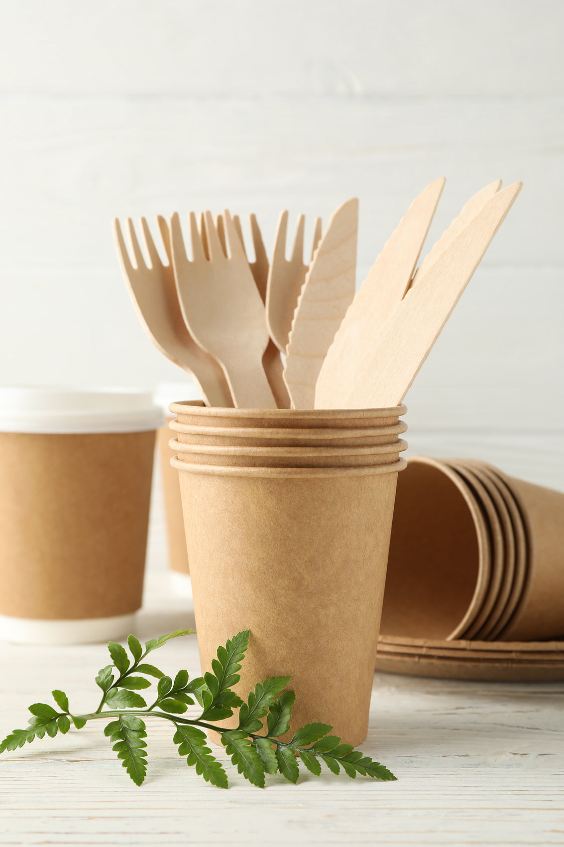 Eco-Friendly Wooden Knife, Fork & Spoon Set